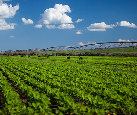 Maquinaria para el sector Agroindustria
